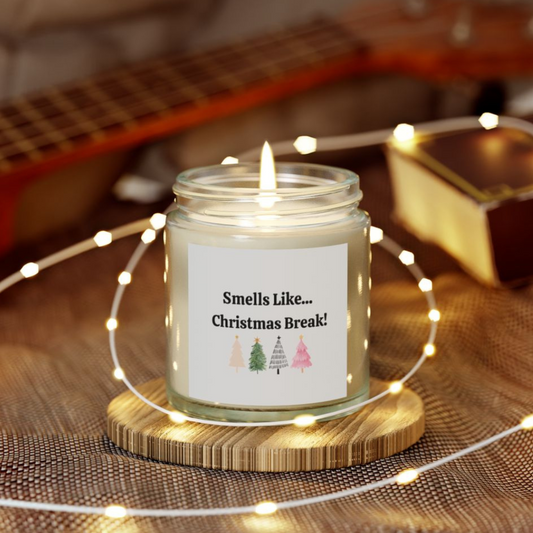 Smells Like Christmas Break! Scented Candles, Coconut Apricot Wax (4oz, 9oz)