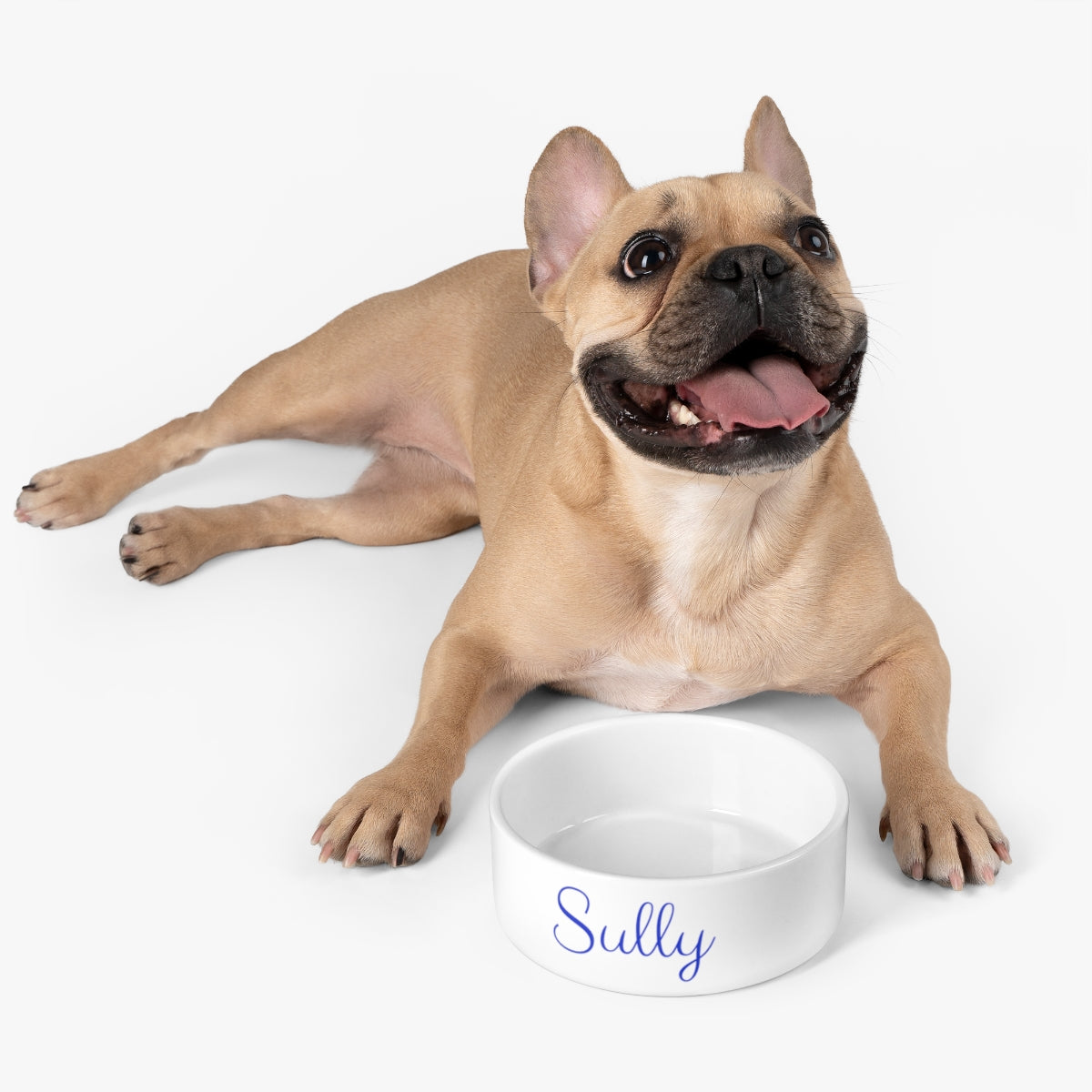 Get trendy with Personalized Pet Bowl -  available at Good Gift Company. Grab yours for $29.99 today!